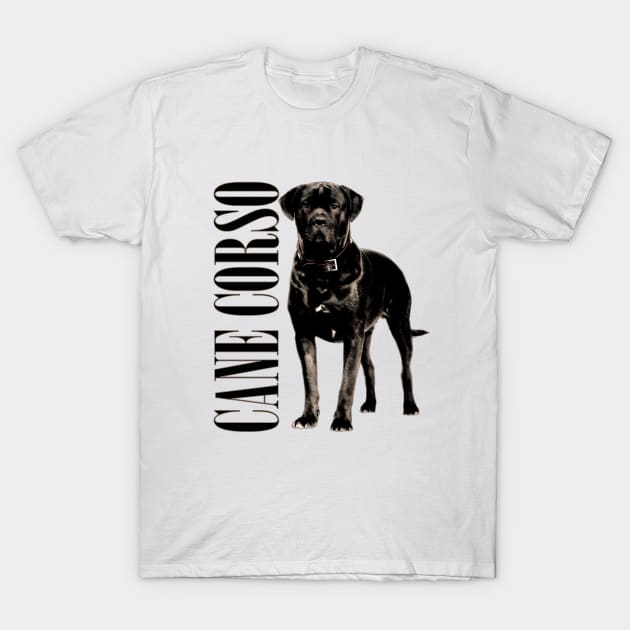 Cane Corso - Italian Mastiff T-Shirt by Nartissima